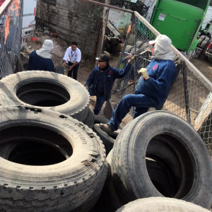 Once toneladas de neumáticos han recolectado en campaña contra Dengue